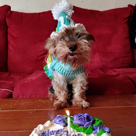 Meet your Posher, Eve - Picture 2 of 2